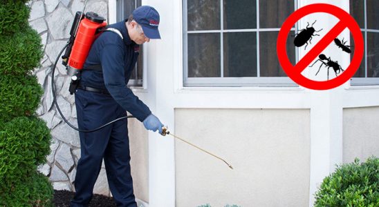 Mecitözü Fare İlaçlama böcek ilaçlama ve haşere kontrolü — ilaclama-tr.com